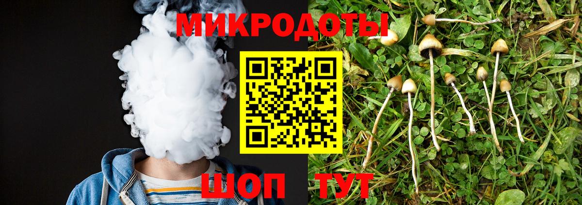 Псилоцибиновые грибы Magic Shrooms Выборг