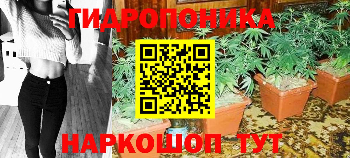 Канабис план Выборг